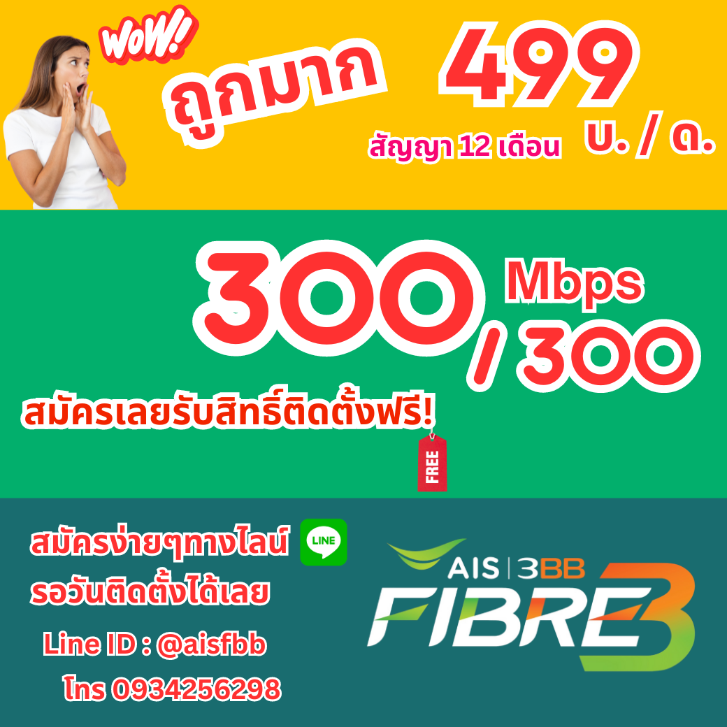 AIS fibre 499